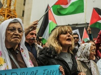 “We stand together with Palestinian captives on hunger strike”: BDS Turkey and Samidoun