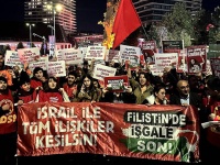 A New BDS Victory: Zorlu Energy Withdrew from the Dorad Power Plant as Well